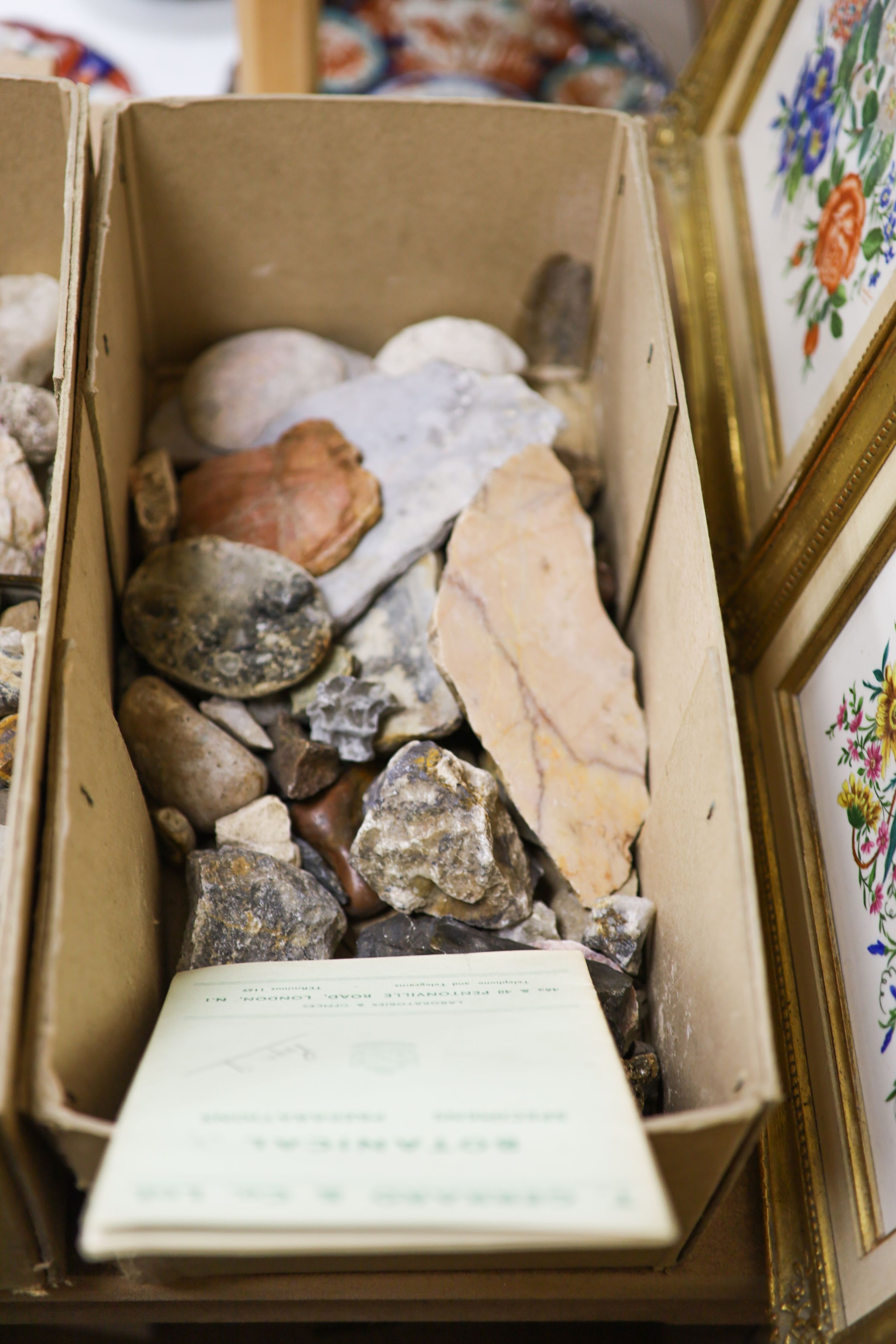 Edward Gerrard (1811-1910) & Sons - a collection of fossil specimens including a large ammonite, in two boxes